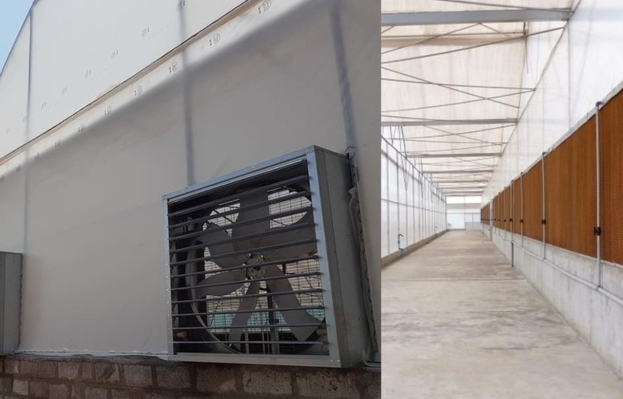 High Pressure Misting System in India