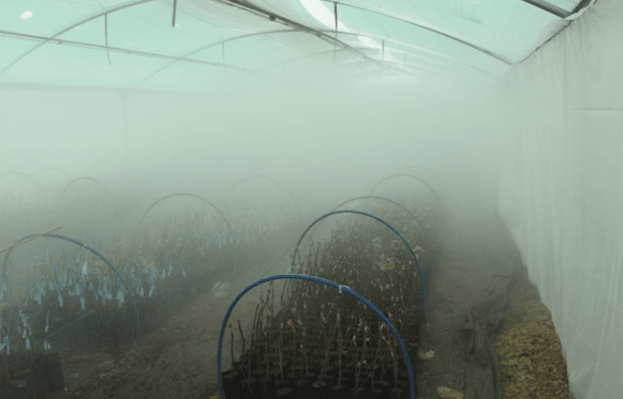 High Pressure Misting System in India