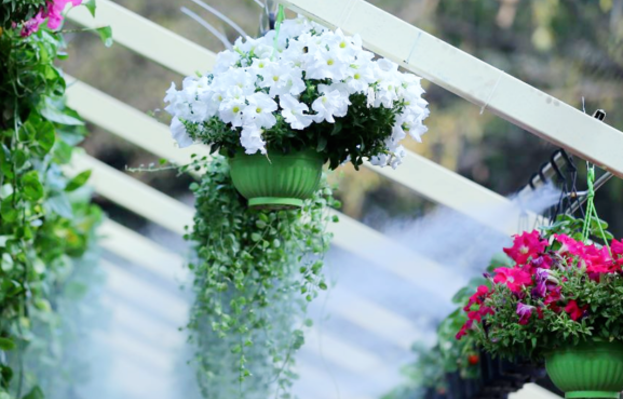 High Pressure Misting System in India