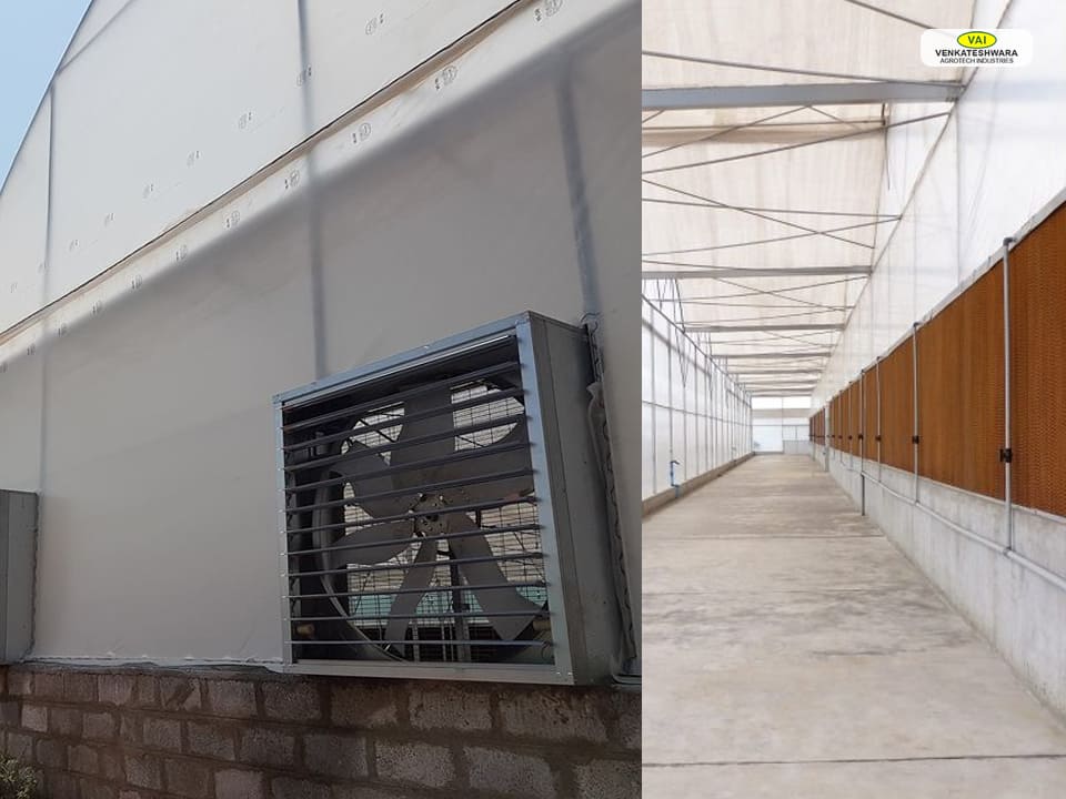 Outdoor Misting Systems