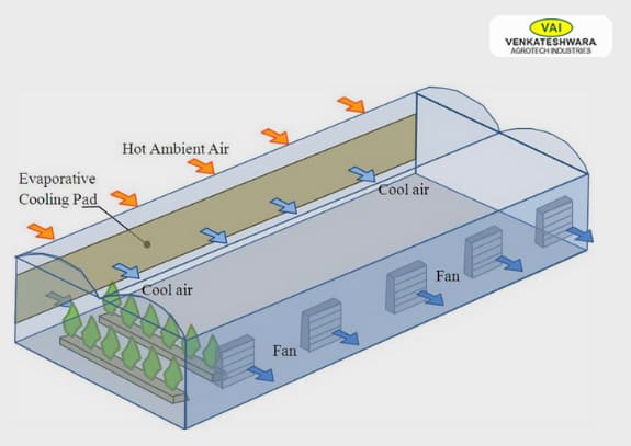 Outdoor Misting Systems