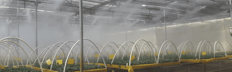 High Pressure Misting System